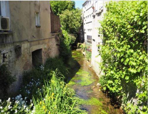 Le Gite Entre Val Et Rose Provins Bagian luar foto